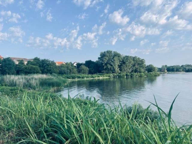 Отель Sobe Djurdjevic Zatonje Экстерьер фото